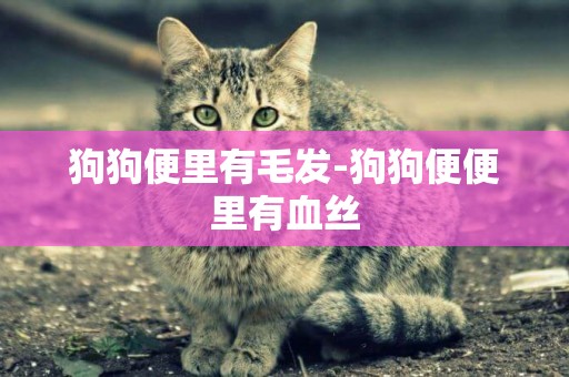 狗狗便里有毛發-狗狗便便里有血絲