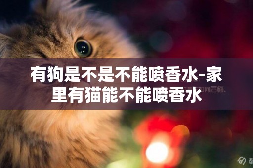 有狗是不是不能噴香水-家里有貓能不能噴香水