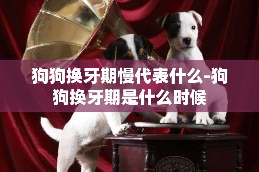 狗狗換牙期慢代表什么-狗狗換牙期是什么時候