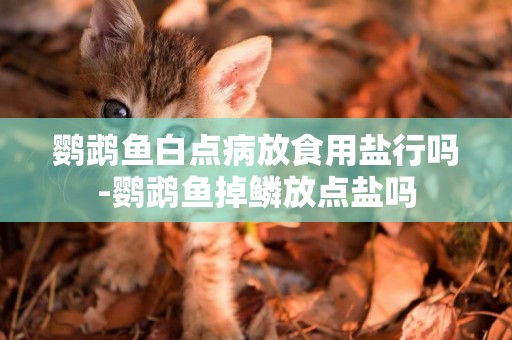 鸚鵡魚白點病放食用鹽行嗎-鸚鵡魚掉鱗放點鹽嗎