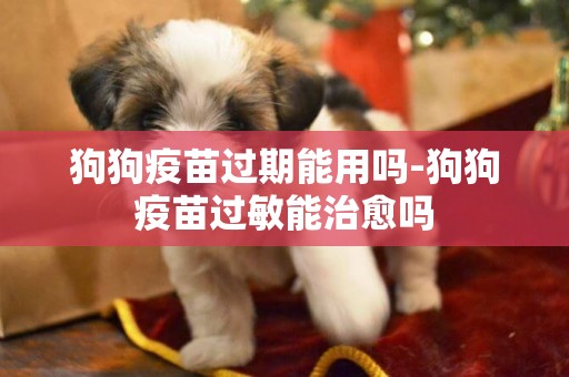 狗狗疫苗過期能用嗎-狗狗疫苗過敏能治愈嗎