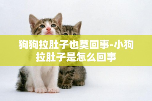 狗狗拉肚子也莫回事-小狗拉肚子是怎么回事
