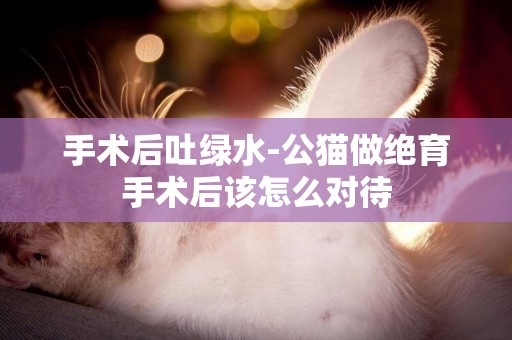 手術后吐綠水-公貓做絕育手術后該怎么對待