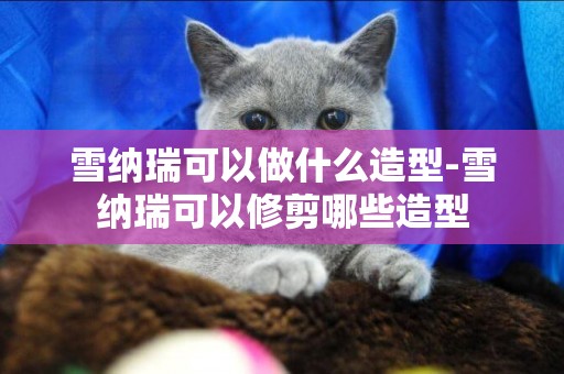雪納瑞可以做什么造型-雪納瑞可以修剪哪些造型