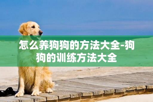 怎么養狗狗的方法大全-狗狗的訓練方法大全