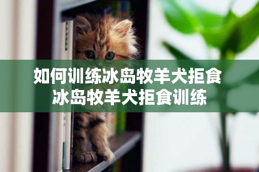 如何訓練冰島牧羊犬拒食 冰島牧羊犬拒食訓練