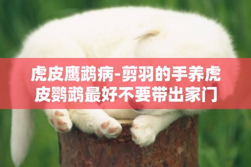 虎皮鷹鵡病-剪羽的手養虎皮鸚鵡最好不要帶出家門