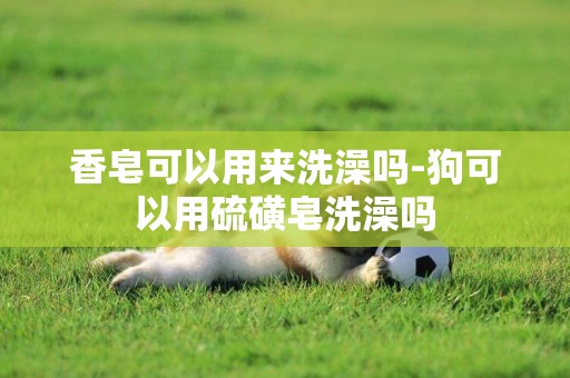 香皂可以用來洗澡嗎-狗可以用硫磺皂洗澡嗎