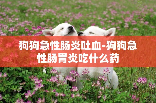 狗狗急性腸炎吐血-狗狗急性腸胃炎吃什么藥