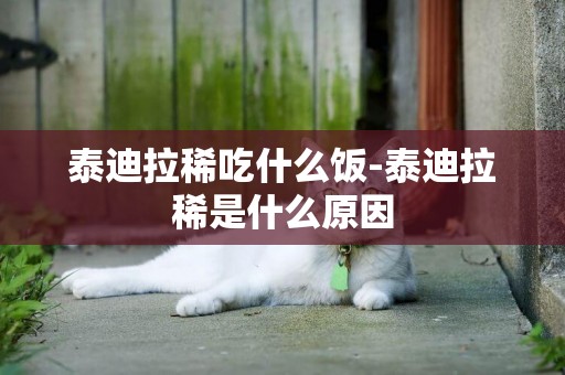 泰迪拉稀吃什么飯-泰迪拉稀是什么原因