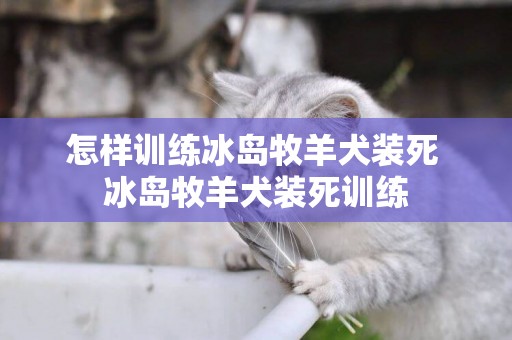 怎樣訓練冰島牧羊犬裝死 冰島牧羊犬裝死訓練