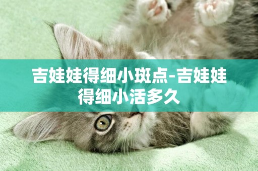 吉娃娃得細小斑點-吉娃娃得細小活多久
