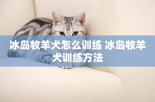 冰島牧羊犬怎么訓練 冰島牧羊犬訓練方法