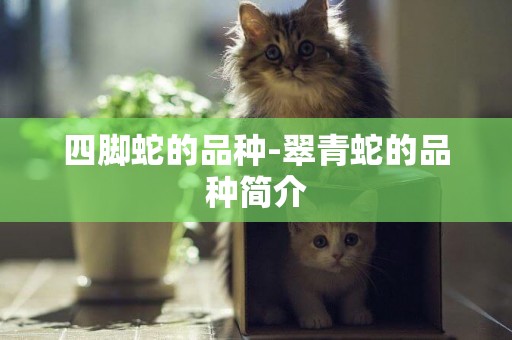 四腳蛇的品種-翠青蛇的品種簡介