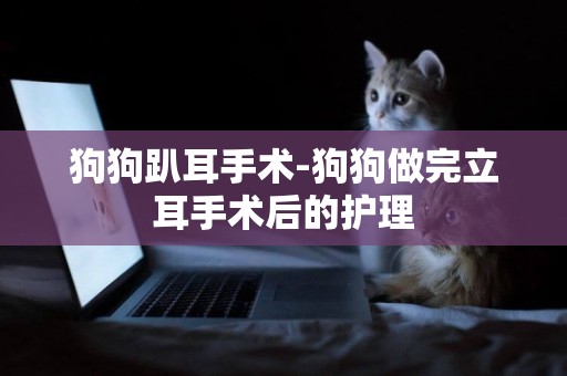 狗狗趴耳手術-狗狗做完立耳手術后的護理