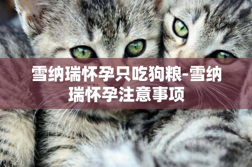 雪納瑞懷孕只吃狗糧-雪納瑞懷孕注意事項