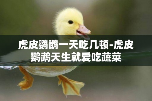 虎皮鸚鵡一天吃幾頓-虎皮鸚鵡天生就愛吃蔬菜