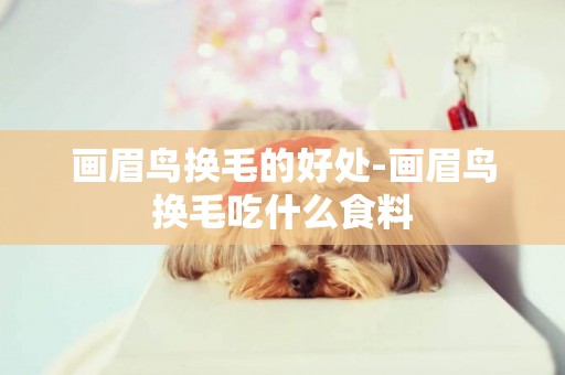 畫眉鳥換毛的好處-畫眉鳥換毛吃什么食料