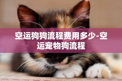空運狗狗流程費用多少-空運寵物狗流程