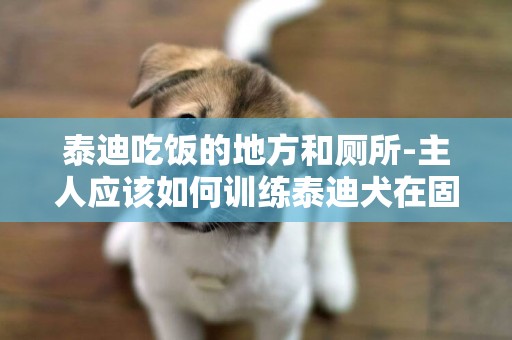泰迪吃飯的地方和廁所-主人應該如何訓練泰迪犬在固定的地方上廁所呢