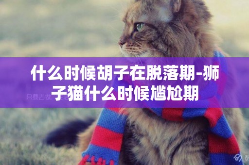 什么時候胡子在脫落期-獅子貓什么時候尷尬期