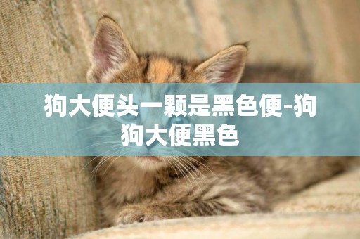 狗大便頭一顆是黑色便-狗狗大便黑色