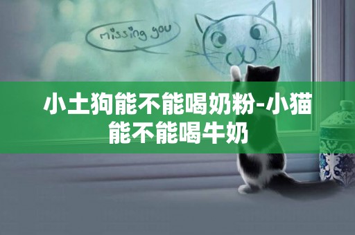 小土狗能不能喝奶粉-小貓能不能喝牛奶