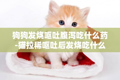 狗狗發燒嘔吐腹瀉吃什么藥-貓拉稀嘔吐后發燒吃什么藥好