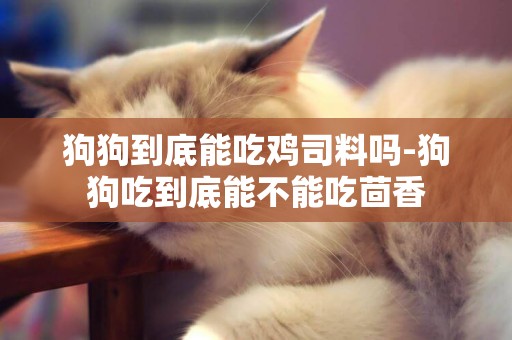 狗狗到底能吃雞司料嗎-狗狗吃到底能不能吃茴香