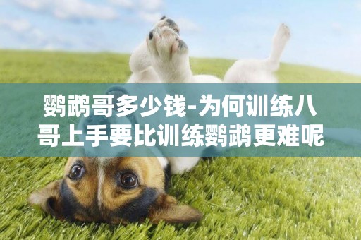 鸚鵡哥多少錢-為何訓練八哥上手要比訓練鸚鵡更難呢