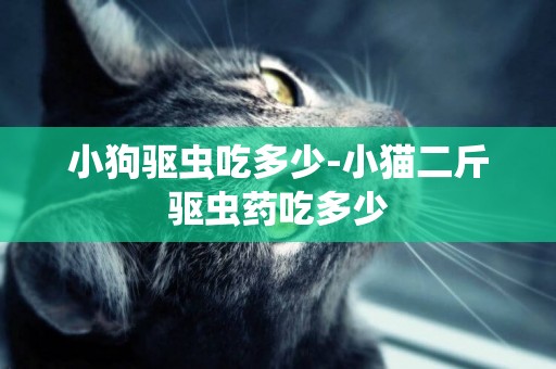 小狗驅蟲吃多少-小貓二斤驅蟲藥吃多少