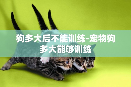 狗多大后不能訓練-寵物狗多大能夠訓練