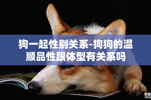 狗一起性別關系-狗狗的溫順品性跟體型有關系嗎