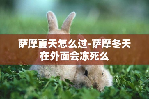 薩摩夏天怎么過-薩摩冬天在外面會凍死么