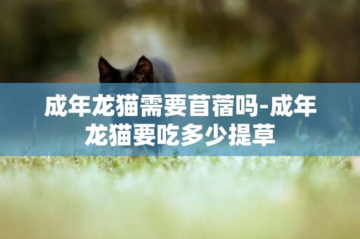 成年龍貓需要苜蓿嗎-成年龍貓要吃多少提草