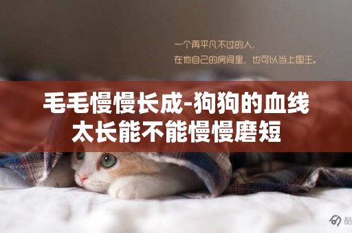 毛毛慢慢長成-狗狗的血線太長能不能慢慢磨短