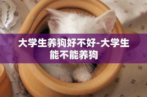 大學生養狗好不好-大學生能不能養狗