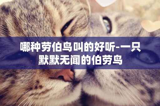 哪種勞伯鳥叫的好聽-一只默默無聞的伯勞鳥