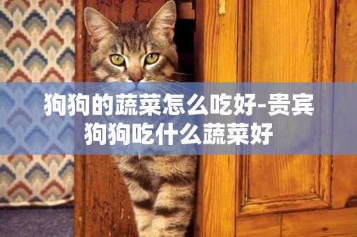 狗狗的蔬菜怎么吃好-貴賓狗狗吃什么蔬菜好