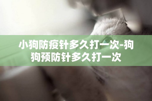 小狗防疫針多久打一次-狗狗預防針多久打一次