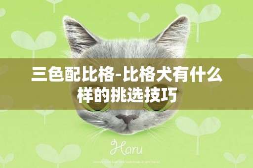三色配比格-比格犬有什么樣的挑選技巧