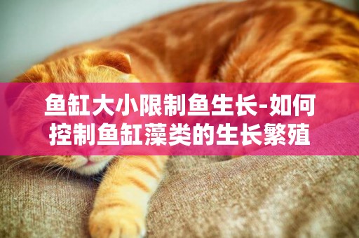 魚缸大小限制魚生長-如何控制魚缸藻類的生長繁殖