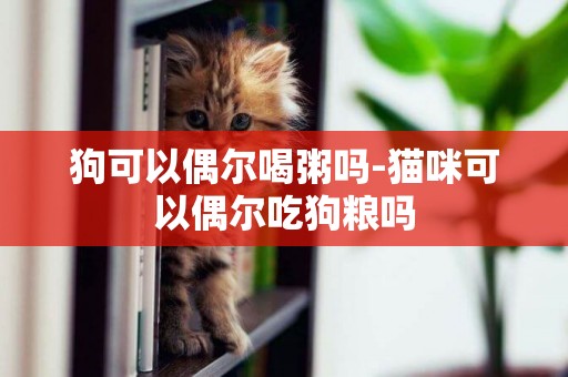 狗可以偶爾喝粥嗎-貓咪可以偶爾吃狗糧嗎
