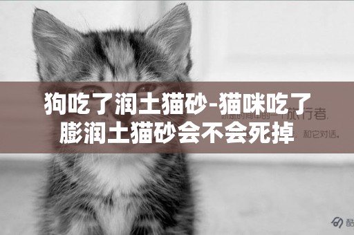 狗吃了潤土貓砂-貓咪吃了膨潤土貓砂會不會死掉