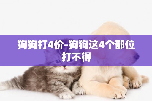 狗狗打4價-狗狗這4個部位打不得