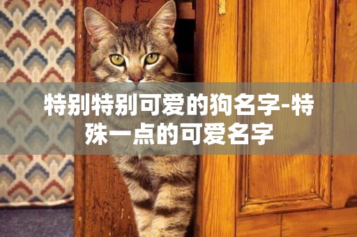 特別特別可愛的狗名字-特殊一點的可愛名字