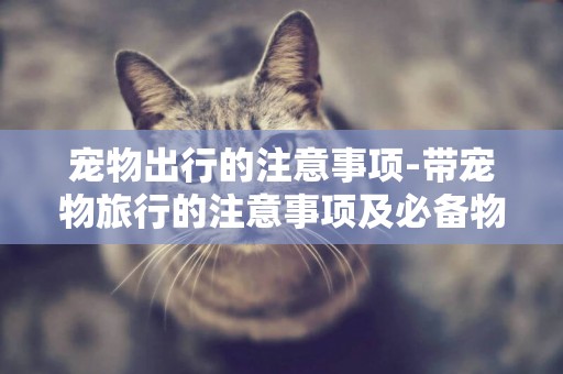 寵物出行的注意事項-帶寵物旅行的注意事項及必備物品