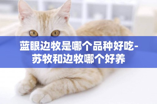 藍眼邊牧是哪個品種好吃-蘇牧和邊牧哪個好養