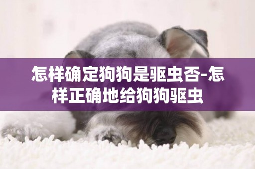 怎樣確定狗狗是驅蟲否-怎樣正確地給狗狗驅蟲