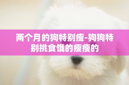兩個月的狗特別瘦-狗狗特別挑食餓的瘦瘦的